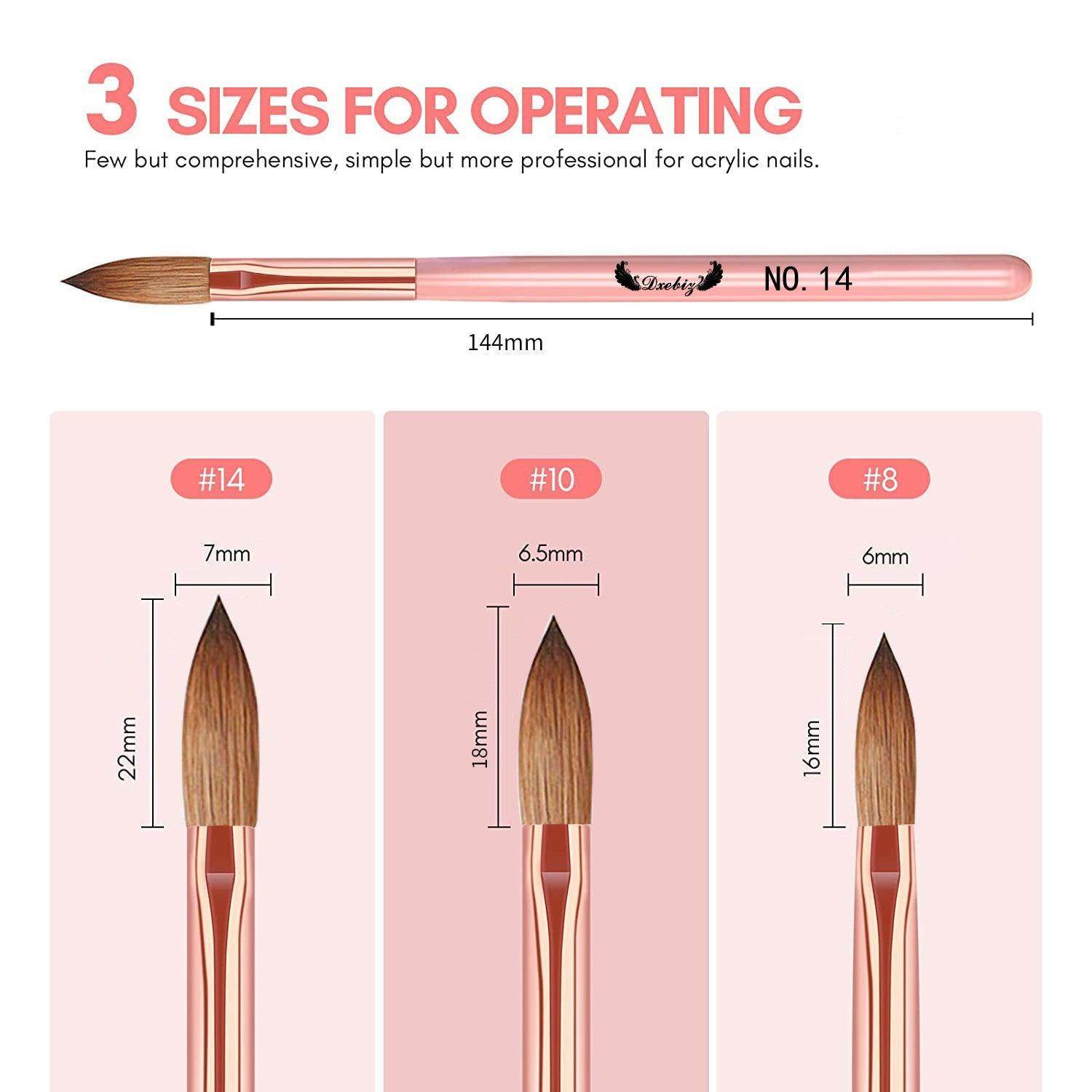 3pcs Acrylic Nail Brush Set Size 8/10/14 Acrylic Brushes for Acrylic Powder Application - Nail MAD