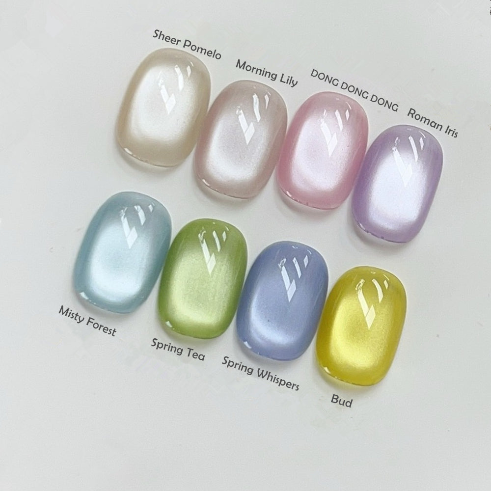 Cat Eye Gel Polish Kit - Sheer Magnetic Nail Polish 12ml