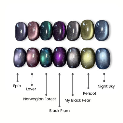 Reflective Diamond Cat Eye Magnetic Gel Polish 12ml